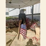 American Flag w/ Eagle